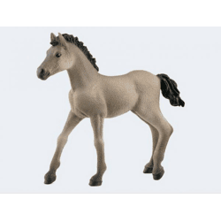 Schleich 13949 - Spielfigur, Criollo Definitivo Fohlen