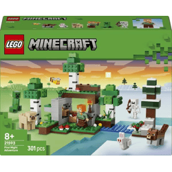 LEGO® 21593 Minecraft™ - Erstes Abenteuer in der Nacht (301 Teile)
