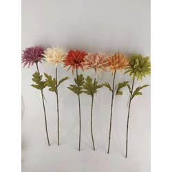 Kunstblume, Aster, 6/s ca. 62cmH