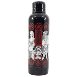 One Piece - Isolierte Edelstahl Flasche - 515 ml