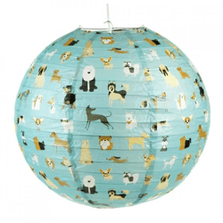 Rex London Laterne „Best in Show“ aus Papier, 40 cm