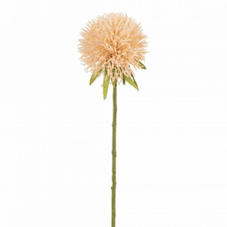 J-Line Kunstblume Allium Pfirsich 44 cm