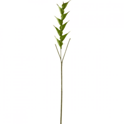 J-Line künstlicher Zweig Heliconia grün 141 cm