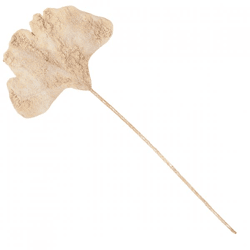 Künstlicher Ginkgo-Blatt-Zweig beige 97 cm