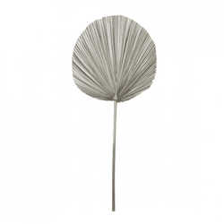 Light & Living Kunstzweig mit Palmblättern „Plantae“, hellgoldfarben, 87 cm