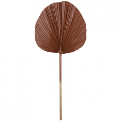 Light en Living Kunstzweig mit Palmblatt „Plantae“, braun, 87 cm