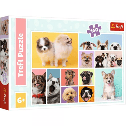 Hunde Collage - Puzzle 160 Teile