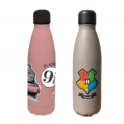 Harry Potter Isolierflasche Back to Hogwarts oder Hogwarts Express 500 ml Edelstahl Trinkflasche Thermoflasche im magischen Design Rosa ode
