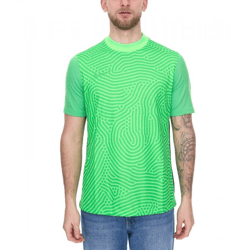 NIKE Gardien III Herren Torwart-Trikot mit Dri-FIT-Technologie nachhaltiges Fußball Sport-Shirt BV6714-398 Grün