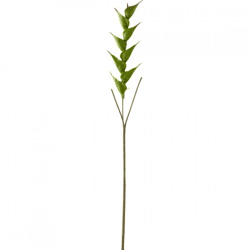 J-Line künstlicher Zweig Heliconia grün 141 cm