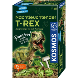 Kosmos 658021 - Nachtleuchtender T-REX