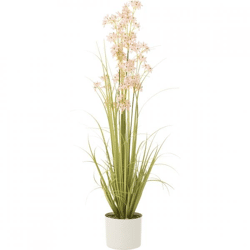 J-Line Kunstpflanze Allium im Topf, 160 cm