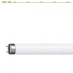 Philips TL-D-Röhre G13 58W 150 cm