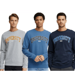 11 PROJECT Davin Herren Sweater mit UNIVERSITY Frontprint Baumwoll-Sweatshirt 20715943 in Dunkelblau, Grau oder Blau