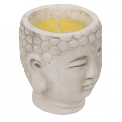 Out of the blue kaars in pot citronella 9,5 cm