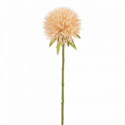 J-Line artificial flower Allium peach 44 cm