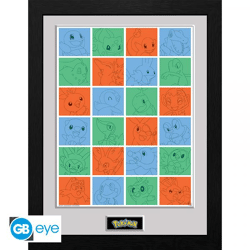 POKEMON - Framed print 