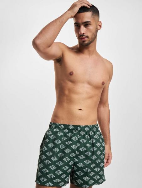 leichte Lacoste Herren Shorts Gr&uuml;n