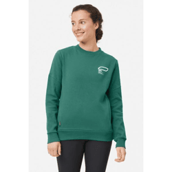 Looking for Wild Damen Pullover Bosson Pullover Grün
