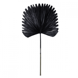 Light en Living kunsttak palmblad Plantae zwart 91 cm