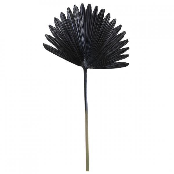 Light en Living Kunstzweig mit Palmblatt „Plantae“, schwarz, 78 cm