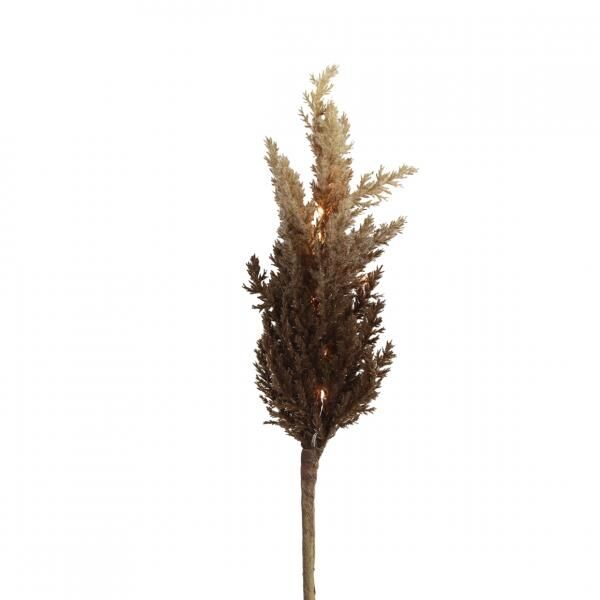 Countryfield Künstlicher Zweig Astilbe LED auf Batterie braun 90 cm