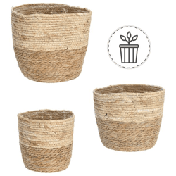 Pflanzkorb, Cattail, 3er Set
