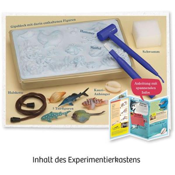 Kosmos 658038 - Meeres-Abenteuer
