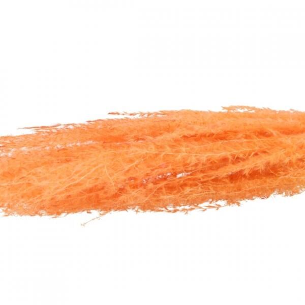Künstlicher Zweig getrocknetes Silbergras Pfirsich XL orange 100 cm