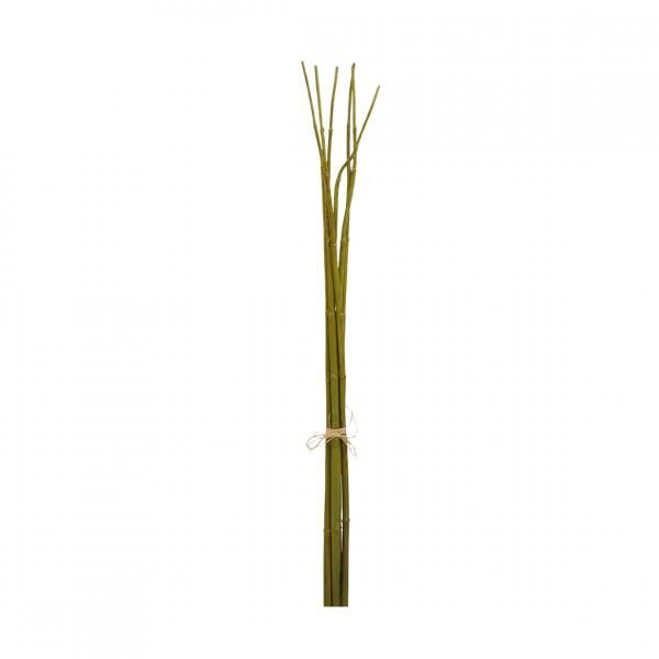 J-Line Bündel Bambuszweige, grün, 75 cm