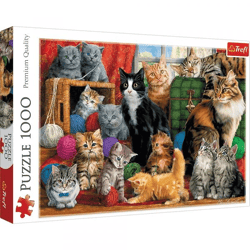 Cats - Puzzle 1000 pieces