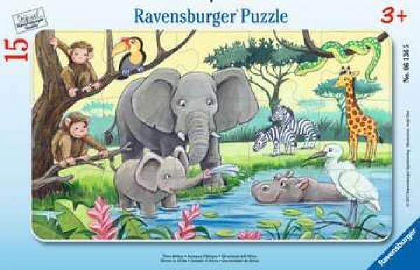 Animals of Africa - Frame puzzle - 15 pieces