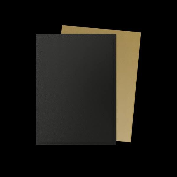 Dragon Shield - Standard Dual Sleeves: Black & Gold [Matte] (100 Sleeves)