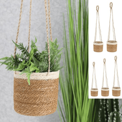 Plant basket, seagrass, hanger, set of 5, natural/white