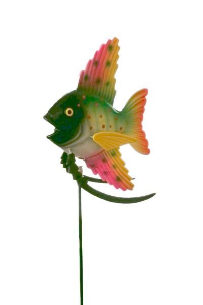 Stecker Regenbogenfisch