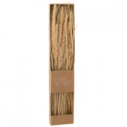 J-Line getrocknetes Gras mit Rispen in einer Schachtel, naturfarben, 60 cm