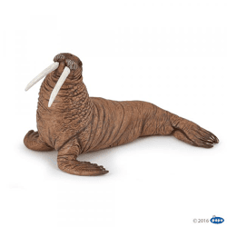 Papo 56030 - Spielfigur - Walross