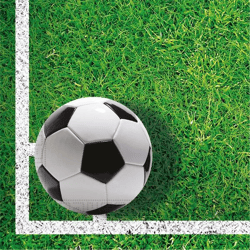 FOOTBALL PARTY - 20 Two-Ply Paper Napkins 33x33cm
