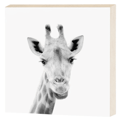 Decorative picture, giraffe, 15x15 cm
