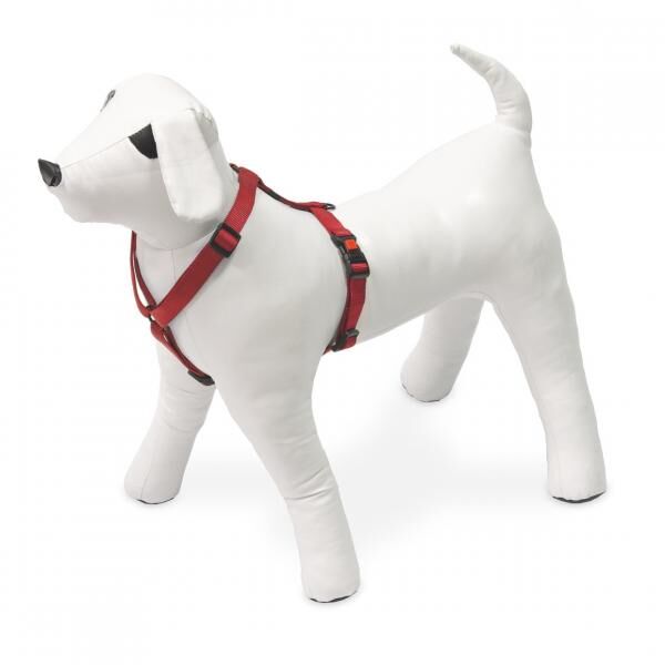 Karlie Hundegeschirr M rot