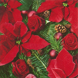 20 Servietten / Napins 33 x 33 cm - Poinsettia with Fir - Christmas