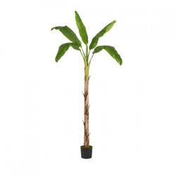 Everlands Kunstpflanze: Bananenbaum im Topf, 180 cm