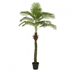 Everlands Kunstpflanze: Palme im Topf, 230 cm