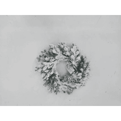 Tannenkranz, Schnee, ca. 25cmD